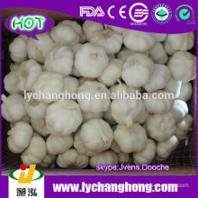 Lowest Price Fresh Garlic From China